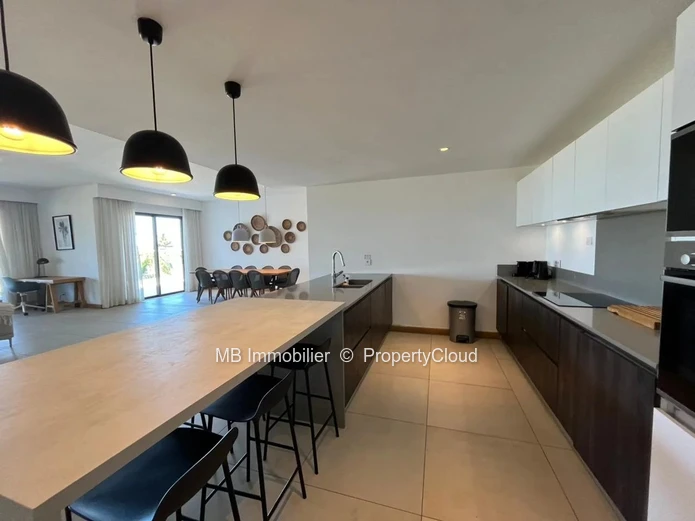 Penthouse for rent