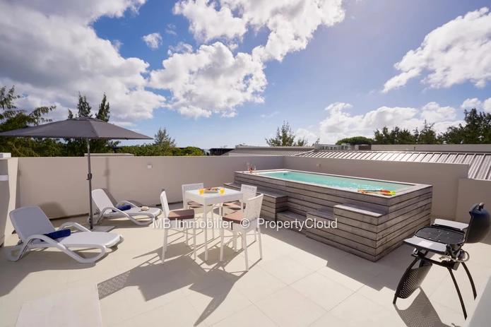 Penthouse  en vente.