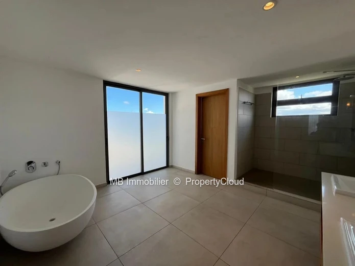 Penthouse for rent
