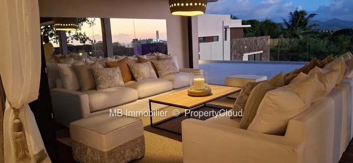 Penthouse for rent