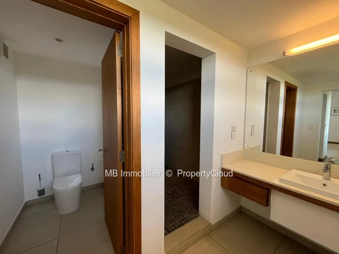 Penthouse for rent