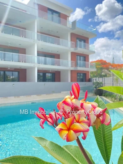 Penthouse en vente.