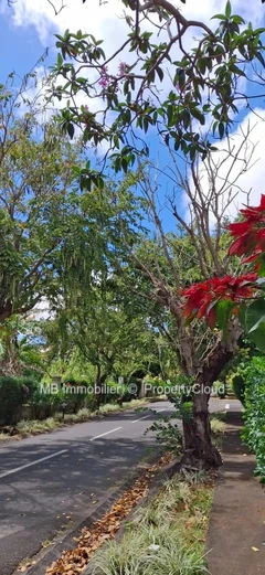 Villa for rent